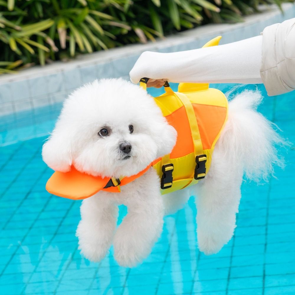 Shark Shape Dog Life Jacket Wa - Life Jacket ulasan dan harga